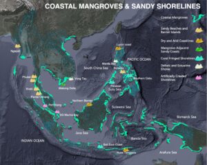 Adaptative Sandy Shorelines