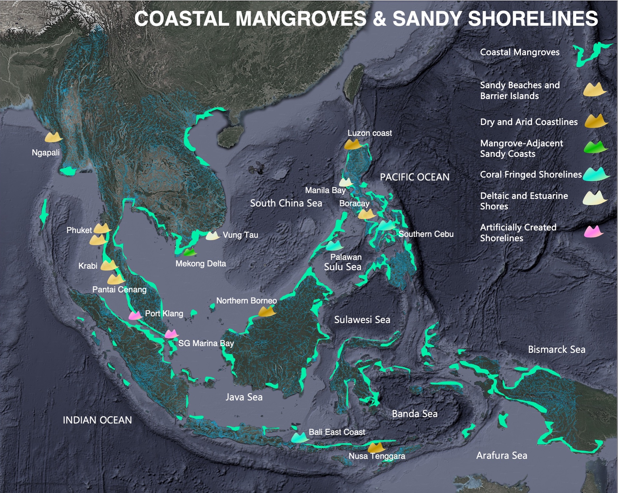 Coastal Mangroves and Sandy Shorelines