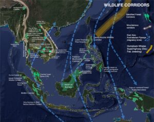Wildlife Corridors for Ecological Connectivity