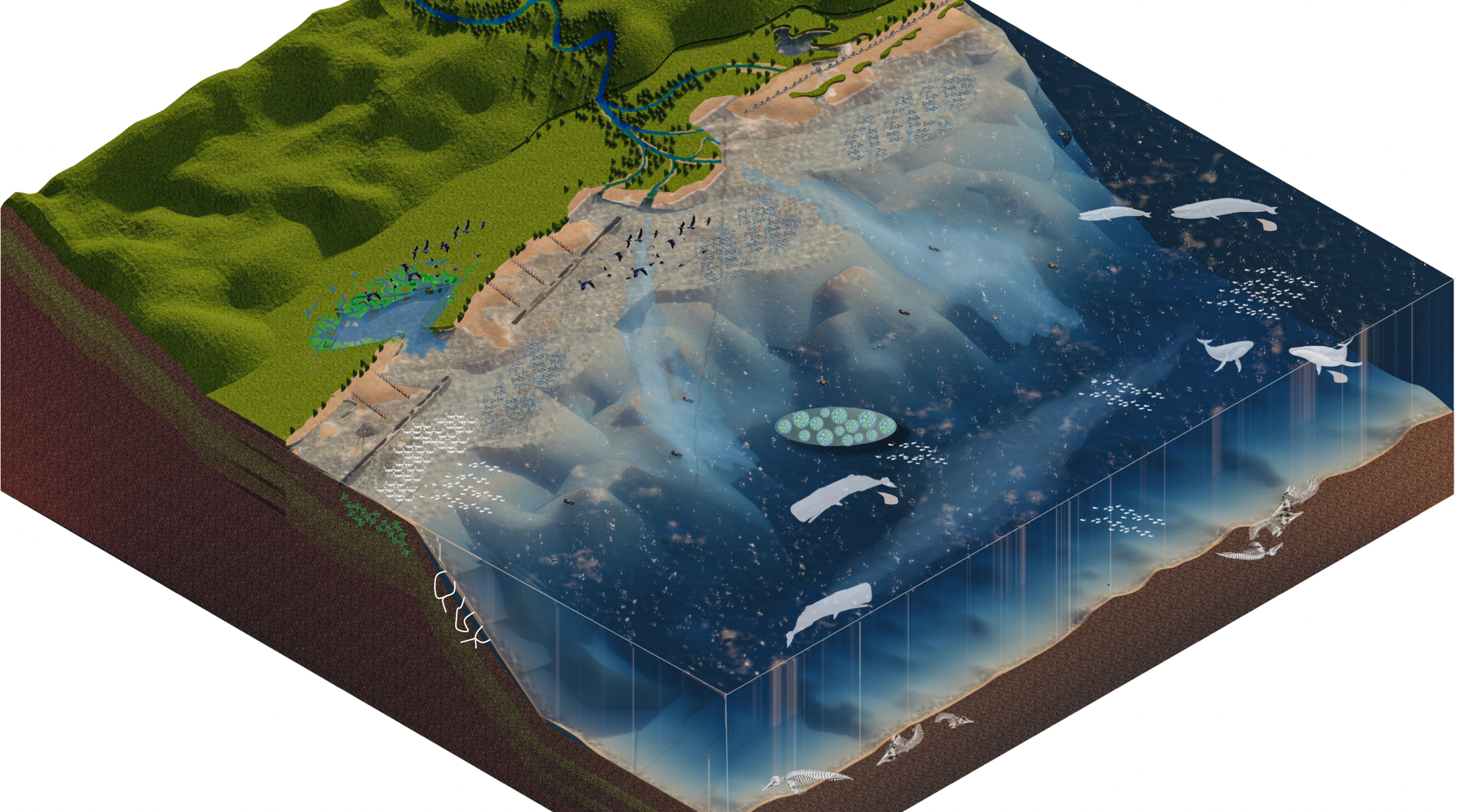 Regenerative Seascapes and Marine Habitats