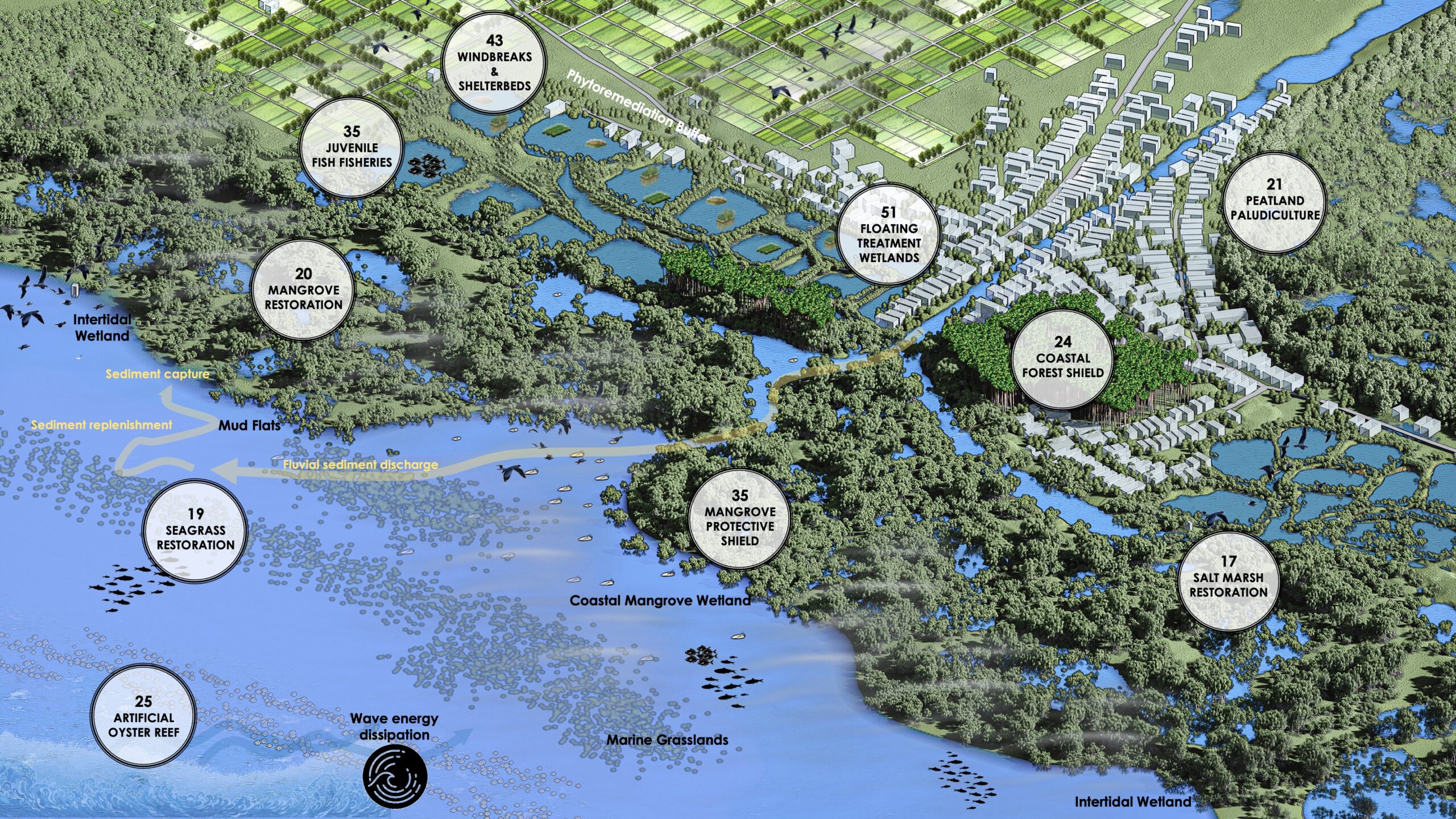 Adaptative Coastal Mangroves