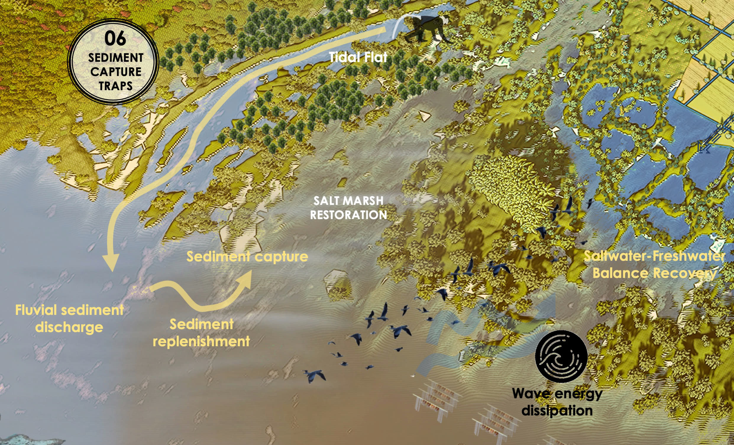 Sediment Capture Traps