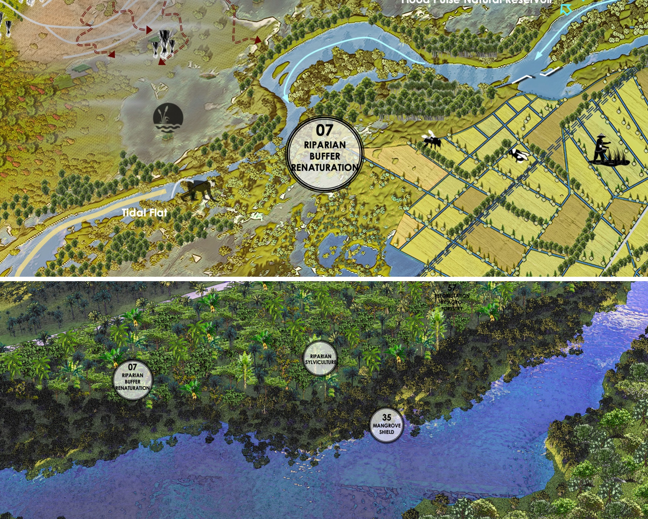 Riparian Buffer Renaturation