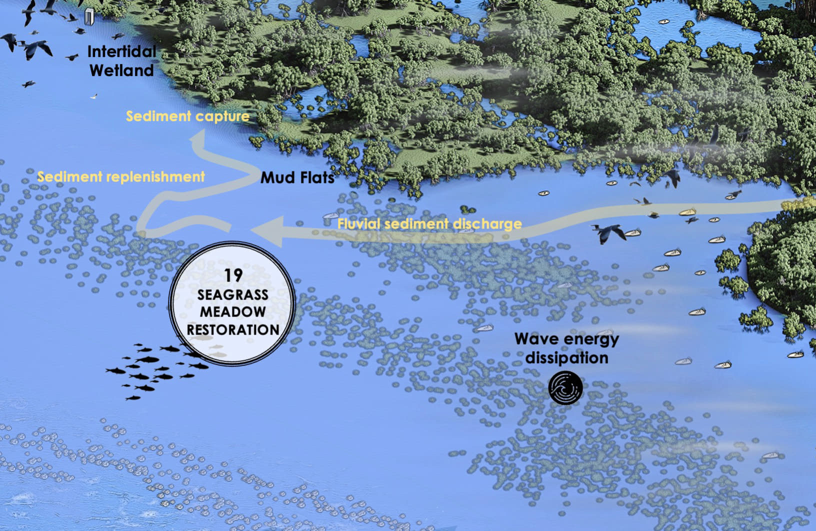 Artificial Seagrass Meadows