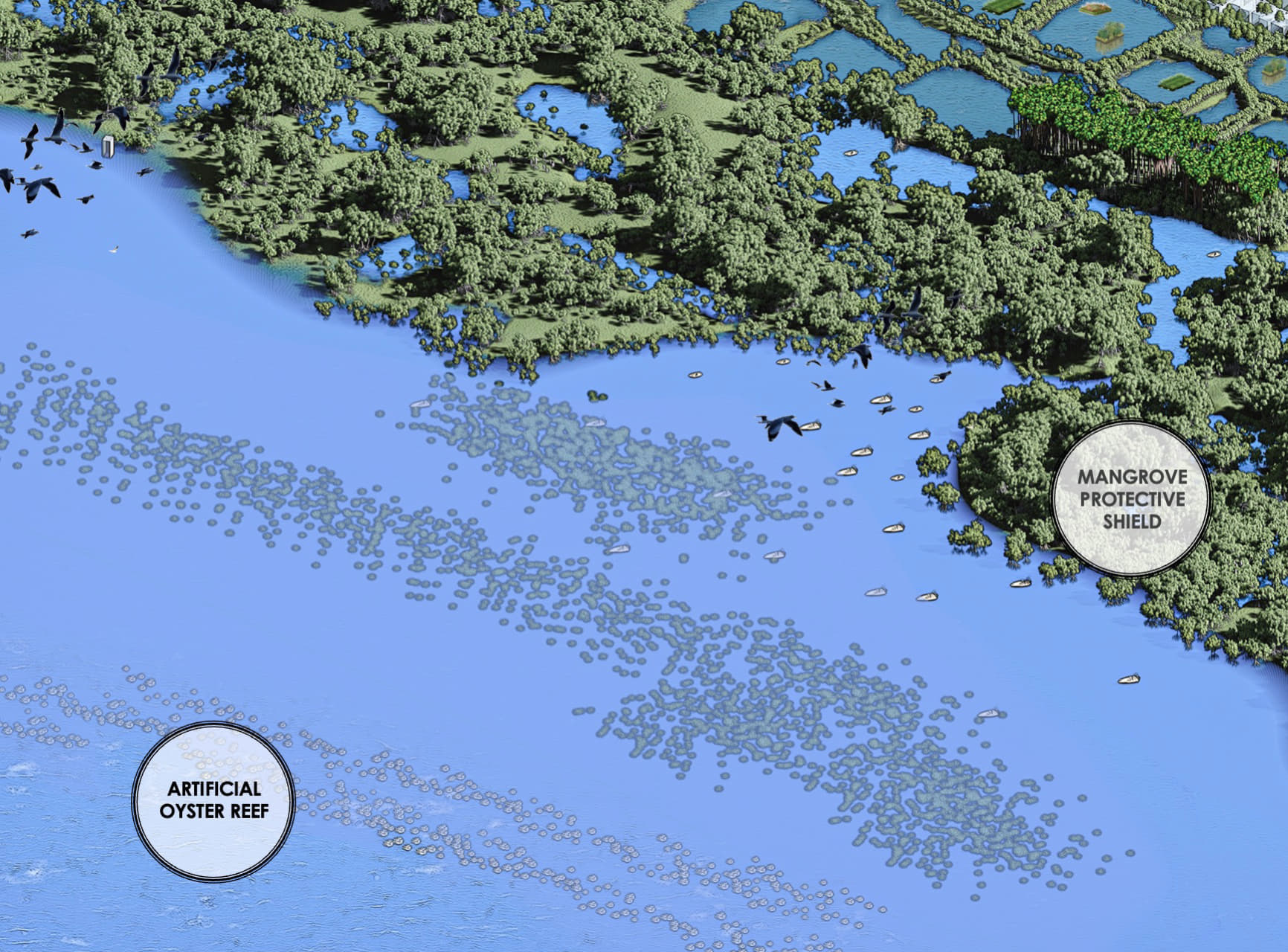 Artificial Oyster Reefs