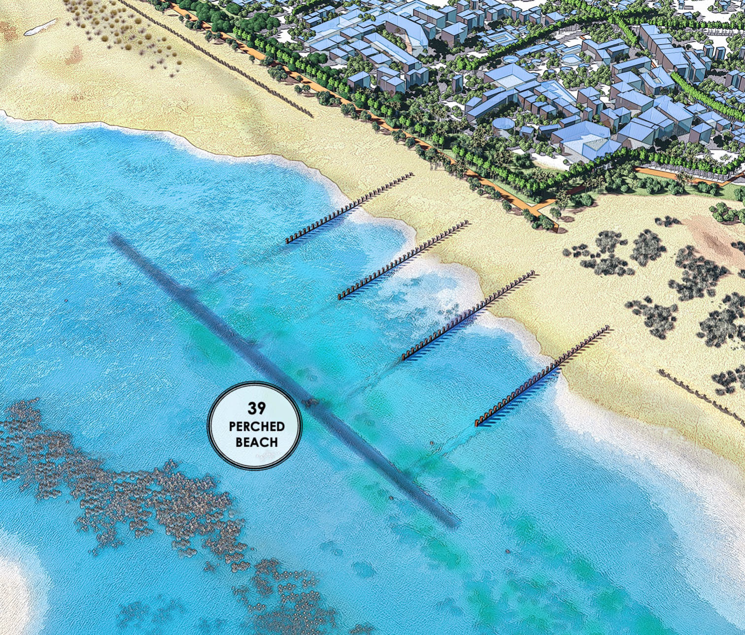 Constructed Pearched Beach With Seagrass