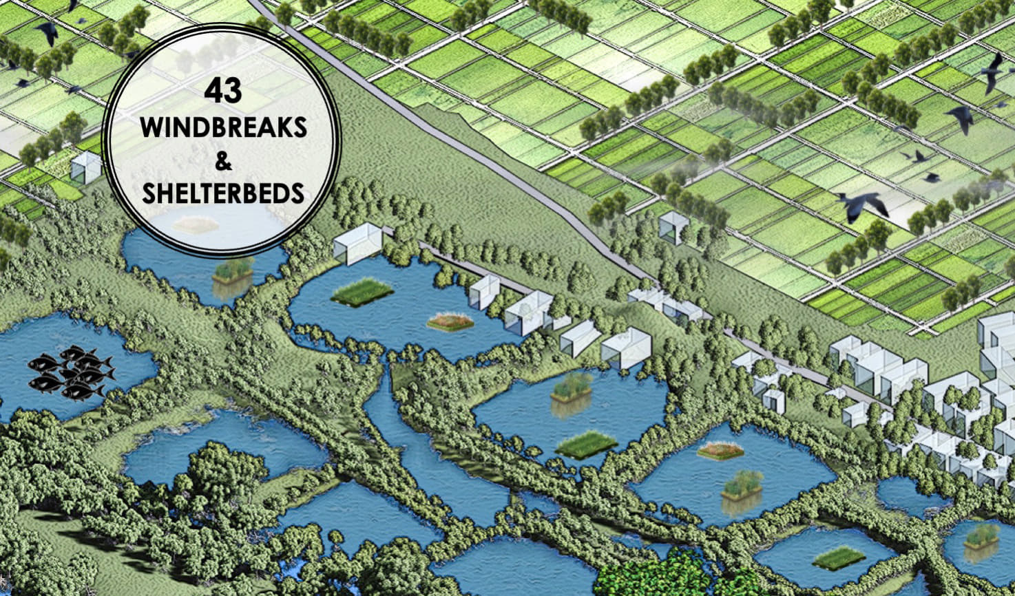 Windbreaks And Shelterbelts