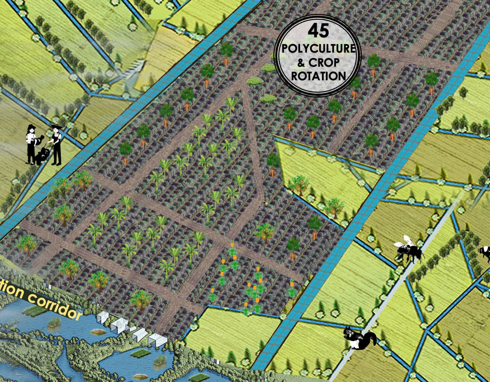 Polyculture & Crop Rotation
