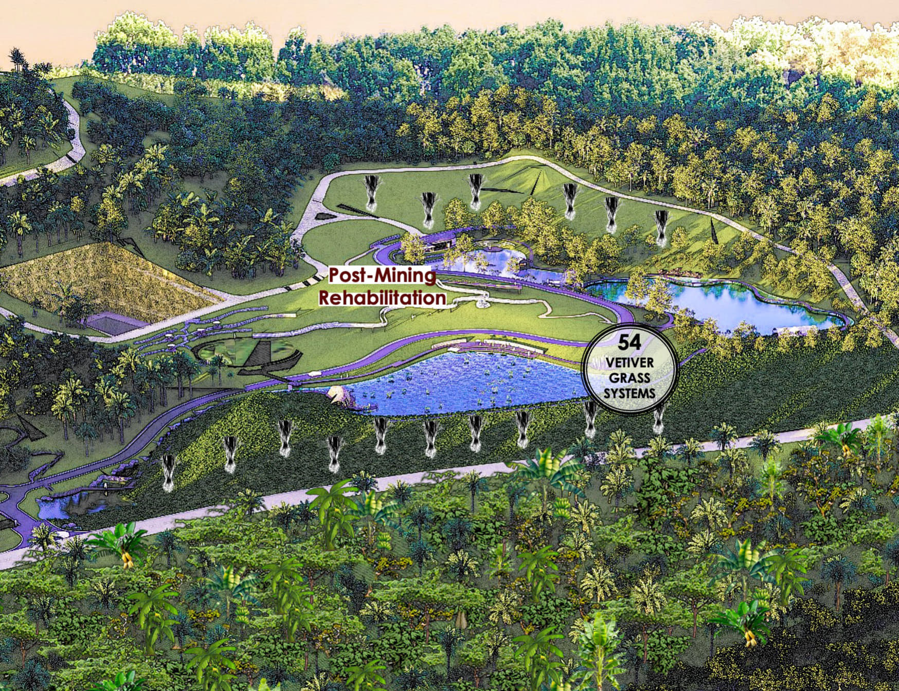 Vetiver Grass Systems (vgs)