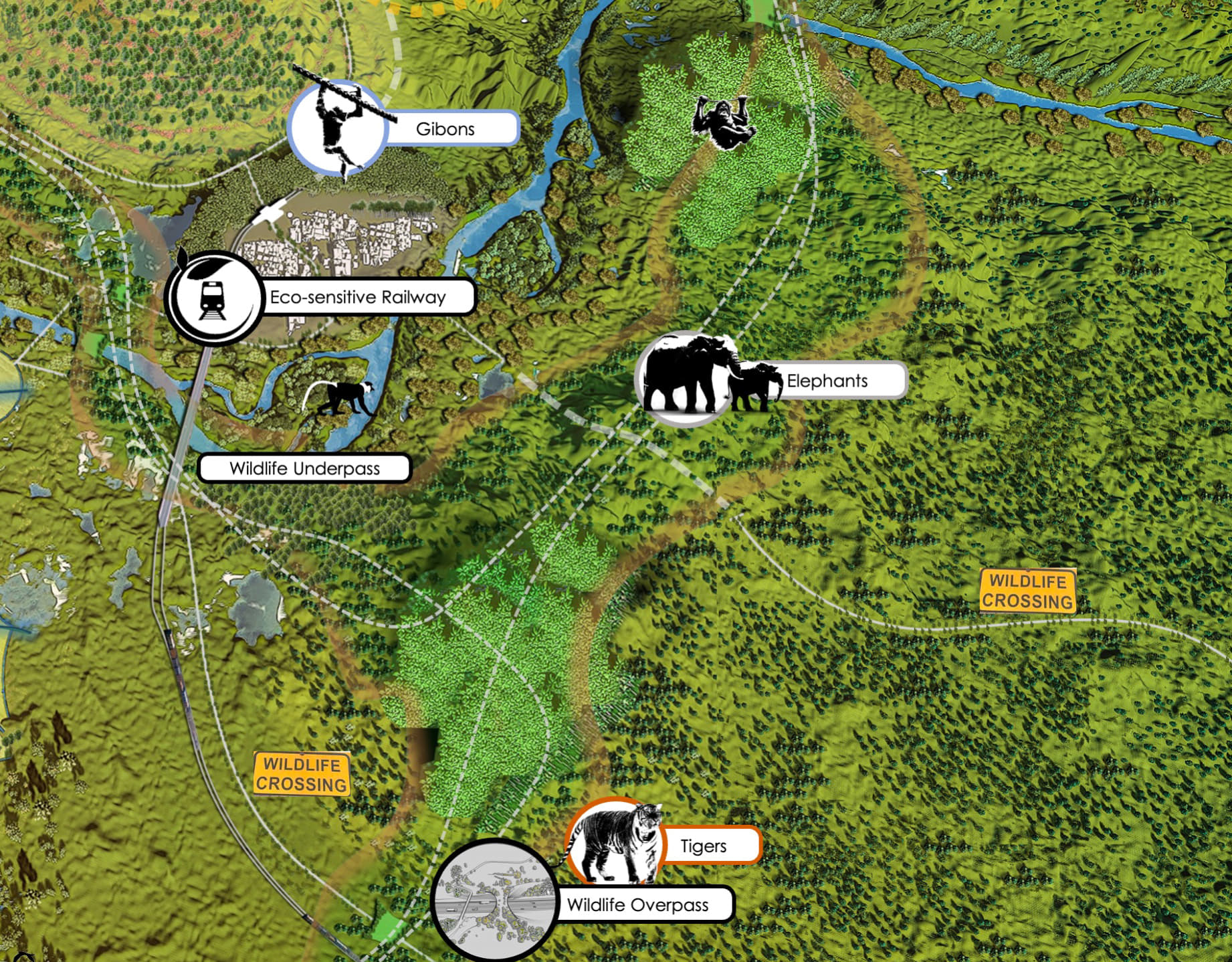 Ecological Bridges And Underpasses
