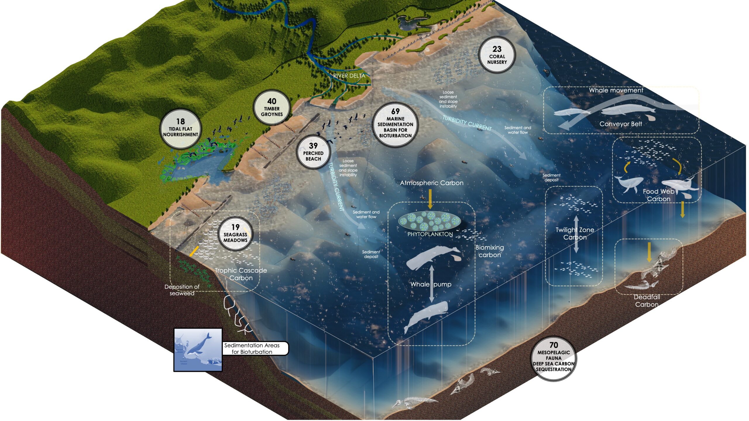 Regenerative Seascapes and Marine Habitats