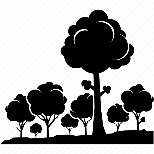 Healthy Forests and Natural Habitats